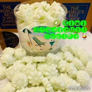 COPY - COPY - Kiwi Starfruit Cooler BBW wax melts